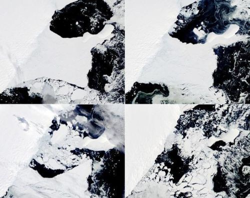 冰雪庫拉怎么搭配陣容圖(云頂之弈冰女最強陣容)插圖3