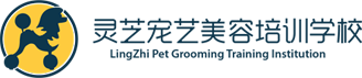 下載之家