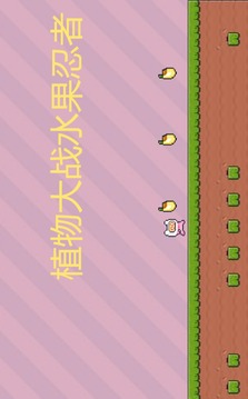 植物大戰水果忍者