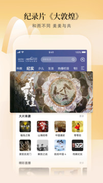 CCTV手機電視