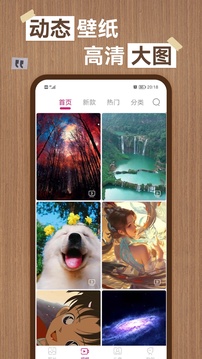 超高清壁紙