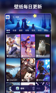壁紙醬