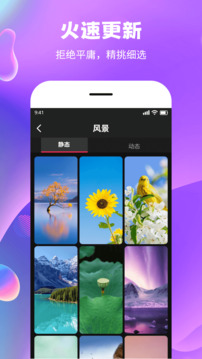 秀秀壁紙
