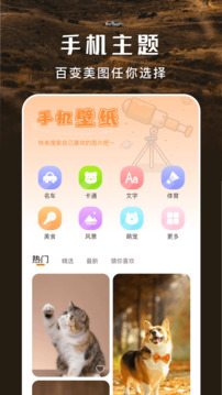 主題盒