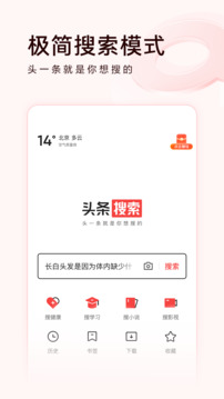 頭條搜索極速版