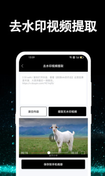 視頻提取大師