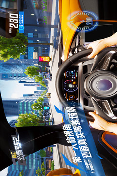 真實(shí)公路汽車2